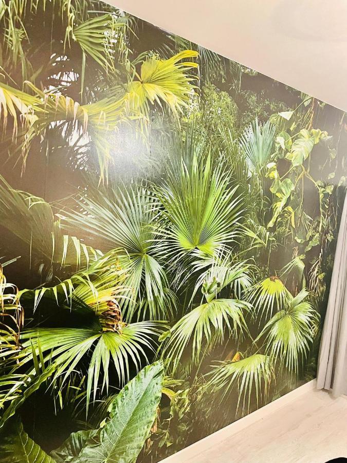 La saveur Tropicale-Proche centre ville-Aéroport Beauvais Extérieur photo